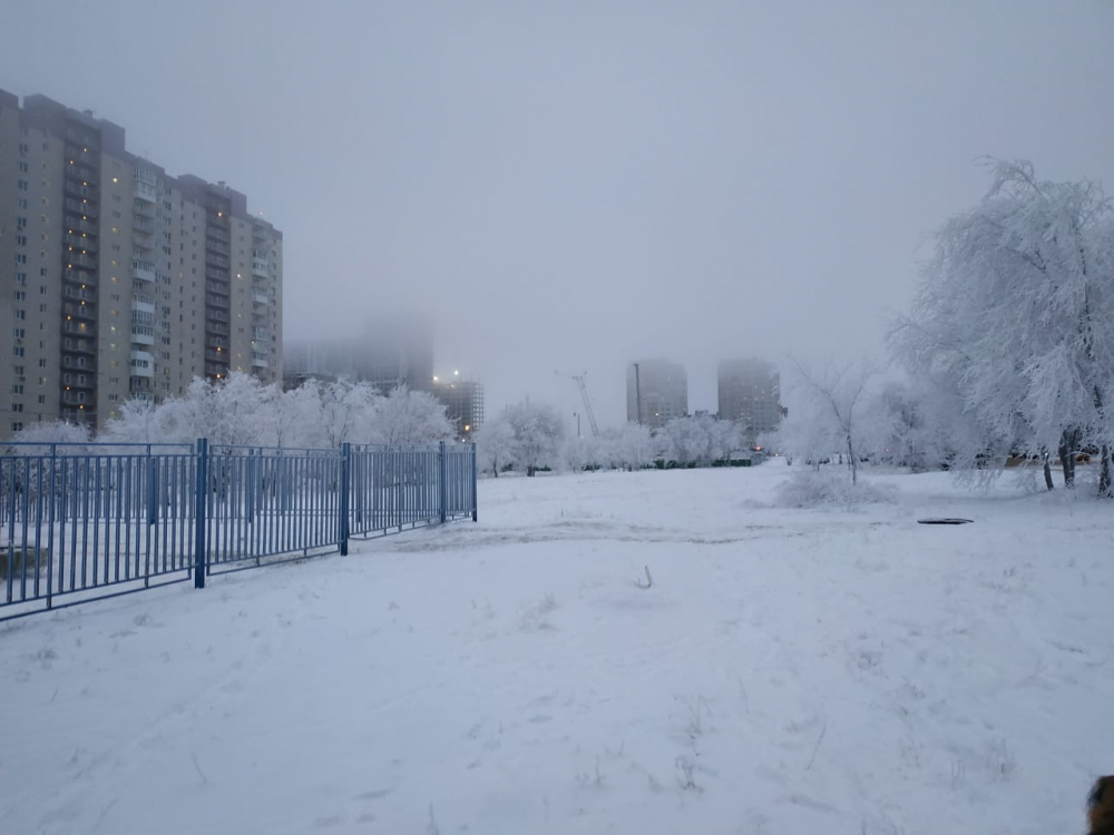 Снегопад накрыл Волгоградскую область Снегопад накрыл Волгоградскую область