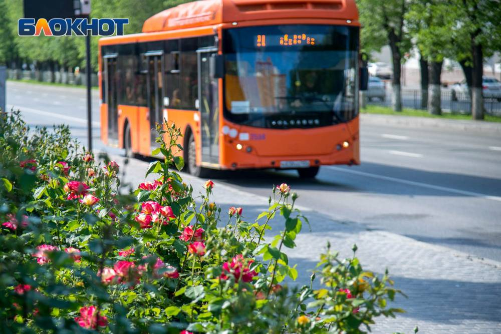 На создание автоматизированной системы учета платы за проезд в волгоградском транспорте потратят 23 миллиона рублей На создание автоматизированной системы учета платы за проезд в волгоградском транспорте потратят 23 миллиона рублей