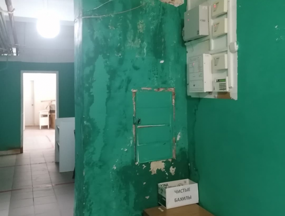 Волгоградский облздрав извинился за поликлинику с чёрной плесенью Волгоградский облздрав извинился за поликлинику с чёрной плесенью