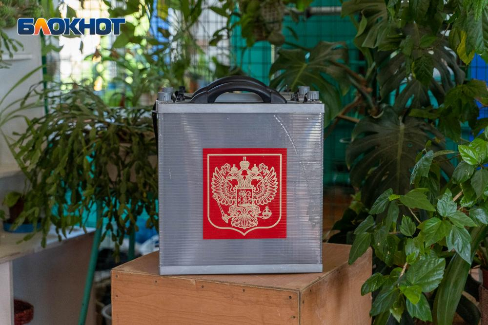Выборы никому не нужны? Смотрим интерес волгоградцев к кандидатам в Госдуму РФ Выборы никому не нужны? Смотрим интерес волгоградцев к кандидатам в Госдуму РФ