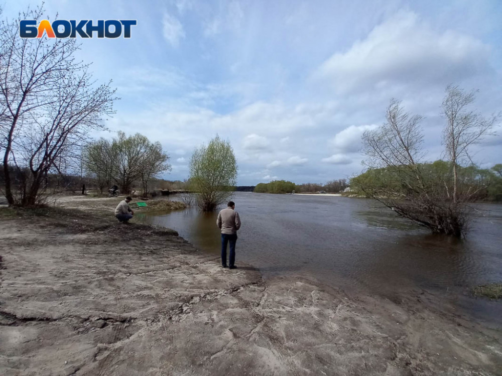 «Следователям отказывают в водолазах»: в Урюпинске продолжат поиски пропавшей на свидании с сотрудником УФСИН девушки «Следователям отказывают в водолазах»: в Урюпинске продолжат поиски пропавшей на свидании с сотрудником УФСИН девушки
