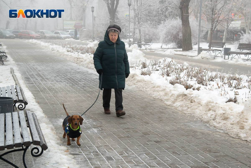 В день «Черной пятницы» Волгоград накроют геомагнитные бури и мокрый снег В день «Черной пятницы» Волгоград накроют геомагнитные бури и мокрый снег