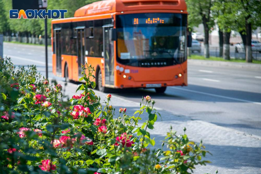 Волгоградка отсудила 200 тысяч рублей за разбитый в автобусе нос Волгоградка отсудила 200 тысяч рублей за разбитый в автобусе нос