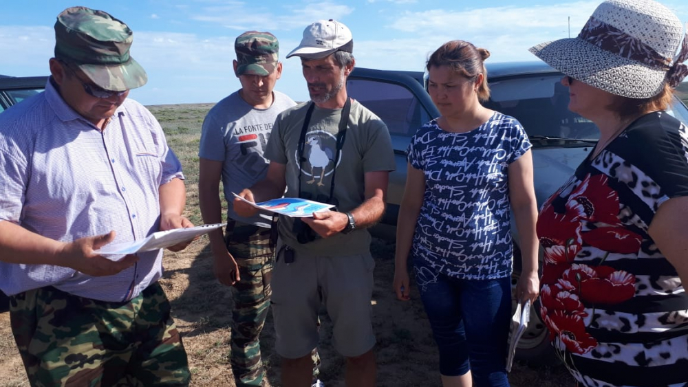 Московская научная экспедиция прибыла в Волгоградскую область изучать морских зуйков Московская научная экспедиция прибыла в Волгоградскую область изучать морских зуйков