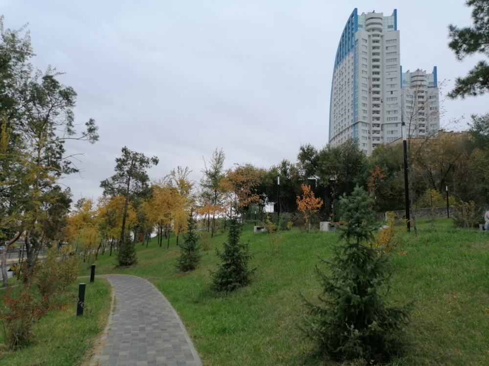 В обновленной общественной палате Волгограда не нашлось места активистам В обновленной общественной палате Волгограда не нашлось места активистам
