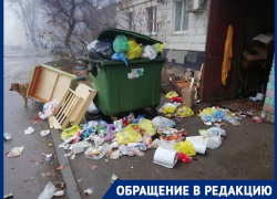 «Мусор уже летает по двору», – три дня стоят переполненные мусорные баки в Волгограде «Мусор уже летает по двору», – три дня стоят переполненные мусорные баки в Волгограде
