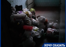 «Тараканы и черви в подъезде»: горы отходов скопились в 7-этажке Волгограда за месяц с забитым мусоропроводом «Тараканы и черви в подъезде»: горы отходов скопились в 7-этажке Волгограда за месяц с забитым мусоропроводом