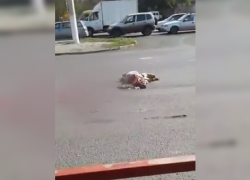 Смертельное ДТП с пожилой волгоградкой попало на видео Смертельное ДТП с пожилой волгоградкой попало на видео