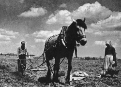 Календарь: 14 августа 1959 г – сформирована Волгоградская область в ее нынешнем виде Календарь: 14 августа 1959 г – сформирована Волгоградская область в ее нынешнем виде