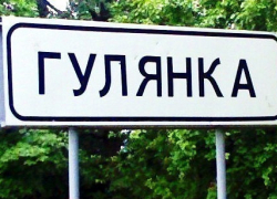 Депутаты Госдумы и члены Совфеда пили и гуляли в ресторане Волгограда Депутаты Госдумы и члены Совфеда пили и гуляли в ресторане Волгограда
