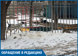 Нас также могут загрызть собаки, как парня из Подмосковья, - волгоградка Нас также могут загрызть собаки, как парня из Подмосковья, - волгоградка