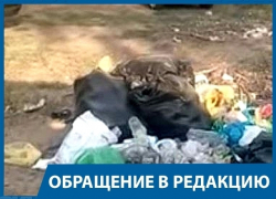Поставьте мусорные ящики на пляже "Бобры", - волгоградец в адрес администрации Краснослободска Поставьте мусорные ящики на пляже "Бобры", - волгоградец в адрес администрации Краснослободска