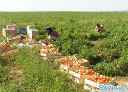В Волгоградской области задержаны нелегальные мигранты из Узбекистана В Волгоградской области задержаны нелегальные мигранты из Узбекистана