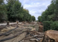 По приказу властей начато уничтожение аллеи на центральной набережной Волгограда По приказу властей начато уничтожение аллеи на центральной набережной Волгограда