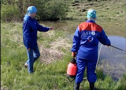 В водоемах Волгограда продолжается дезинсекция В водоемах Волгограда продолжается дезинсекция