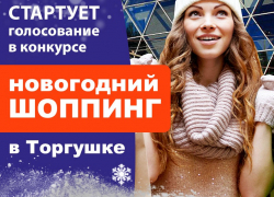 15 декабря стартует голосование в конкурсе «Новогодний шоппинг в торгушке» 15 декабря стартует голосование в конкурсе «Новогодний шоппинг в торгушке»