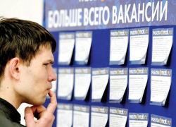 На рынке труда Волгограда ситуация стабильна На рынке труда Волгограда ситуация стабильна