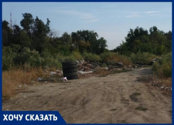 Избавить Мамаев курган от мусорных куч просит волгоградец через администрацию президента России Избавить Мамаев курган от мусорных куч просит волгоградец через администрацию президента России