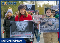 «Проблема - в безответственности людей»: волгоградцы присоединились ко всероссийскому митингу в защиту животных «Проблема - в безответственности людей»: волгоградцы присоединились ко всероссийскому митингу в защиту животных