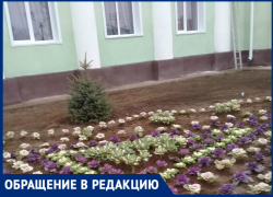Под Волгоградом для помпы при открытии ДК в декабре посадили клумбу Под Волгоградом для помпы при открытии ДК в декабре посадили клумбу