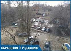 Пришли и ушли: как проверили жалобу на дебоширящих у отдела полиции волгоградцев Пришли и ушли: как проверили жалобу на дебоширящих у отдела полиции волгоградцев