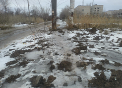 «Спасибо вам за всех ползущих и падающих»: гололед спровоцировал мусорный коллапс и заставил волгоградцев сидеть дома «Спасибо вам за всех ползущих и падающих»: гололед спровоцировал мусорный коллапс и заставил волгоградцев сидеть дома