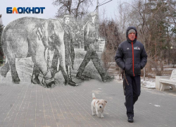 Тогда и сейчас: сталинградский зоопарк на месте горсада в Волгограде Тогда и сейчас: сталинградский зоопарк на месте горсада в Волгограде
