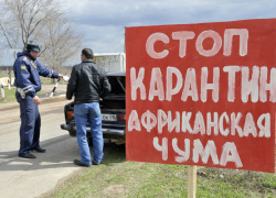 В Волгограде запрещена торговля мясом с фермерских подворий В Волгограде запрещена торговля мясом с фермерских подворий