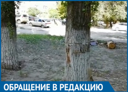 Рухнувший на балкон многоэтажки тополь едва не убил мужчину на юге Волгограда Рухнувший на балкон многоэтажки тополь едва не убил мужчину на юге Волгограда