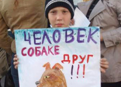 Волгоградцы отметят День бездомных животных Волгоградцы отметят День бездомных животных