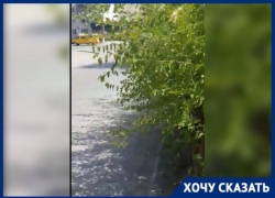 Пешеходный переход в Волжском скрывают от водителей ветки деревьев Пешеходный переход в Волжском скрывают от водителей ветки деревьев