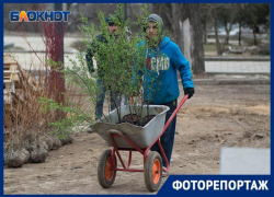 Что нового ждет волгоградцев в парке на центральной набережной Что нового ждет волгоградцев в парке на центральной набережной