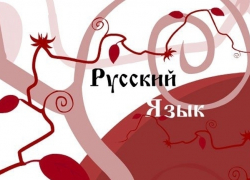 Школьница из Жирновска победила на Всероссийской олимпиаде Школьница из Жирновска победила на Всероссийской олимпиаде