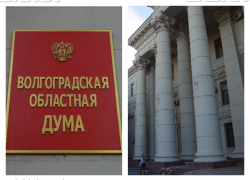 Волгоградские депутаты присвоили себе законопроекты Госдумы о защите дольщиков Волгоградские депутаты присвоили себе законопроекты Госдумы о защите дольщиков