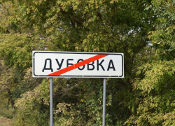 Дубовский депутат заявил о нападении чиновницы из-за птичьего помета Дубовский депутат заявил о нападении чиновницы из-за птичьего помета