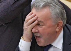Брянско-ростовско-волгоградский депутат готов принимать подарки и улыбки Брянско-ростовско-волгоградский депутат готов принимать подарки и улыбки