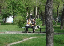 Волгоград сделают чистым и зеленым Волгоград сделают чистым и зеленым