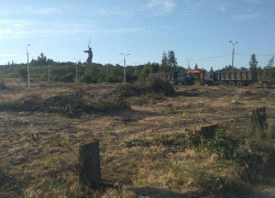 Волгоградские чиновники признали - вместо парка будет автостоянка Волгоградские чиновники признали - вместо парка будет автостоянка