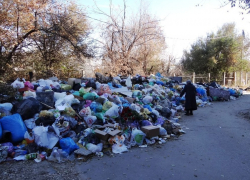 В Волгограде проблема с вывозом мусора «сдвинулась с места» В Волгограде проблема с вывозом мусора «сдвинулась с места»