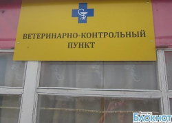 В Волгоградской области стабилизируется ситуация по АЧС В Волгоградской области стабилизируется ситуация по АЧС