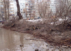 Коммунальщики завалили спиленными ветками детскую площадку на западе Волгограда Коммунальщики завалили спиленными ветками детскую площадку на западе Волгограда