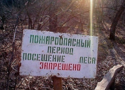 В леса – ни ногой! В леса – ни ногой!