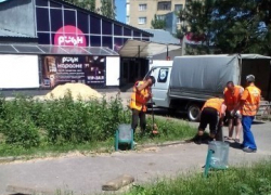 В Волгограде приступили к благоустройству сквера Касимовский В Волгограде приступили к благоустройству сквера Касимовский