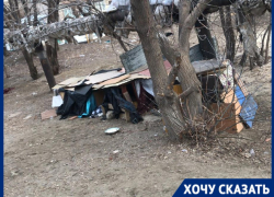 С собачьим самостроем борются жители волгоградского двора С собачьим самостроем борются жители волгоградского двора