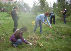 2013 год может быть объявлен годом благоустройства Волгоградской области 2013 год может быть объявлен годом благоустройства Волгоградской области
