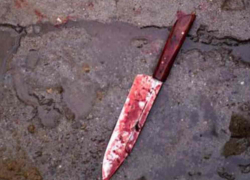 В Волжском зверски убита 17-летняя девушка В Волжском зверски убита 17-летняя девушка