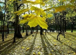 В Волгограде теплая погода продержится до середины ноября В Волгограде теплая погода продержится до середины ноября
