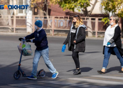 Родители волгоградских школьников боятся весенних провалов удаленного обучения Родители волгоградских школьников боятся весенних провалов удаленного обучения