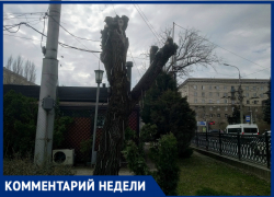 «А что вы вообще можете?»: волгоградцы потребовали очистить город от сорняков в человеческий рост «А что вы вообще можете?»: волгоградцы потребовали очистить город от сорняков в человеческий рост