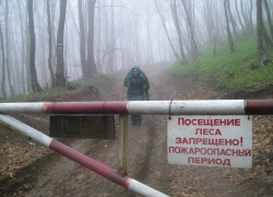 В Волгоградской области запрещено посещать леса В Волгоградской области запрещено посещать леса